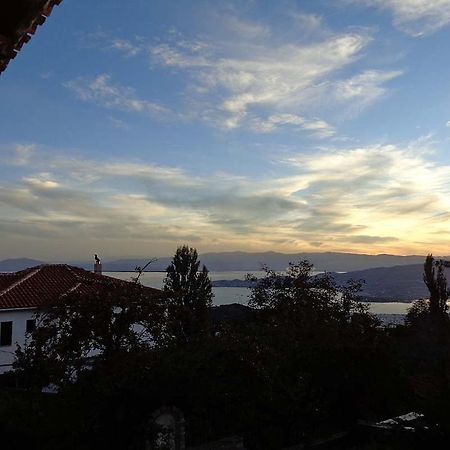 Ξενώνας Κλειώ Πορταριά Εξωτερικό φωτογραφία